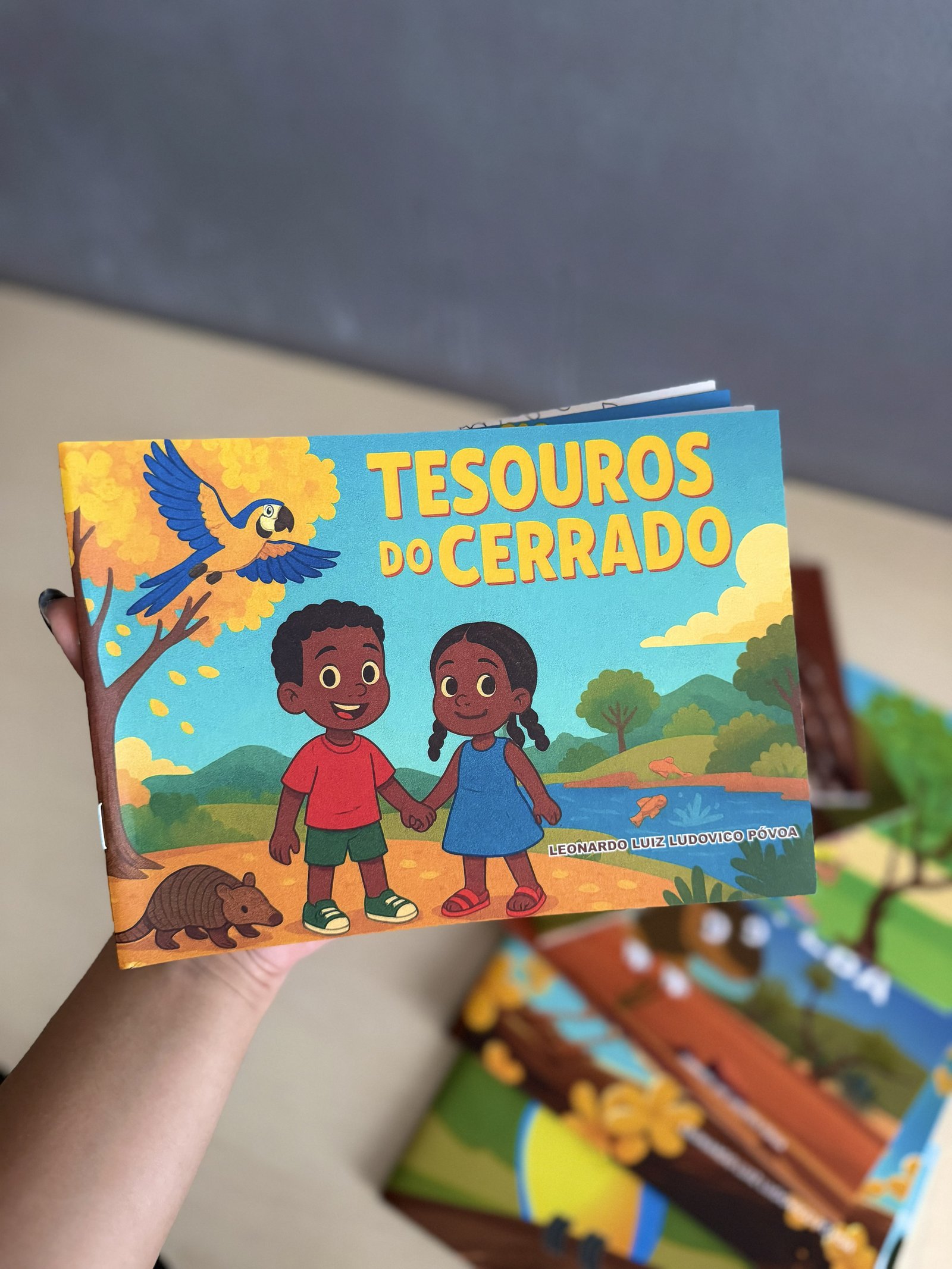 Tesouros do Cerrado